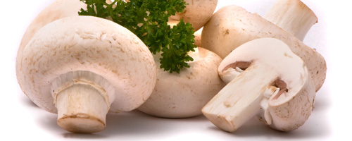 El champiñón reduce las necesidades de Insulina